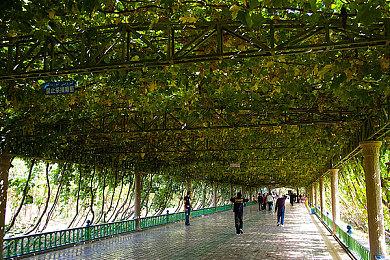 《堡垒之夜》X《咒术回战》预告 虎杖悠仁和五条悟等